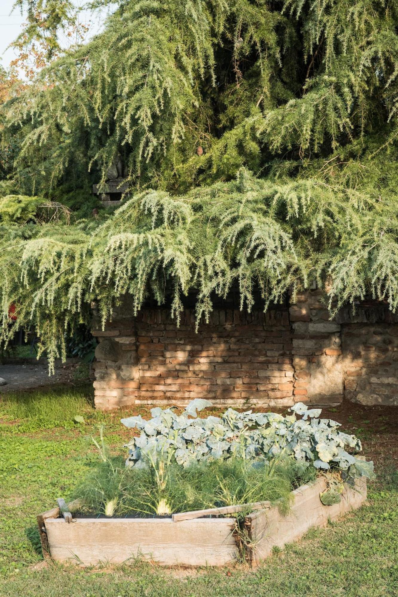 Agriturismo Beatilla Marmirolo Bagian luar foto